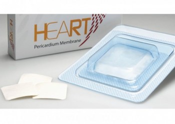 HEART MEMBRANA PERICARDIUM 2pz 15x20x0.2